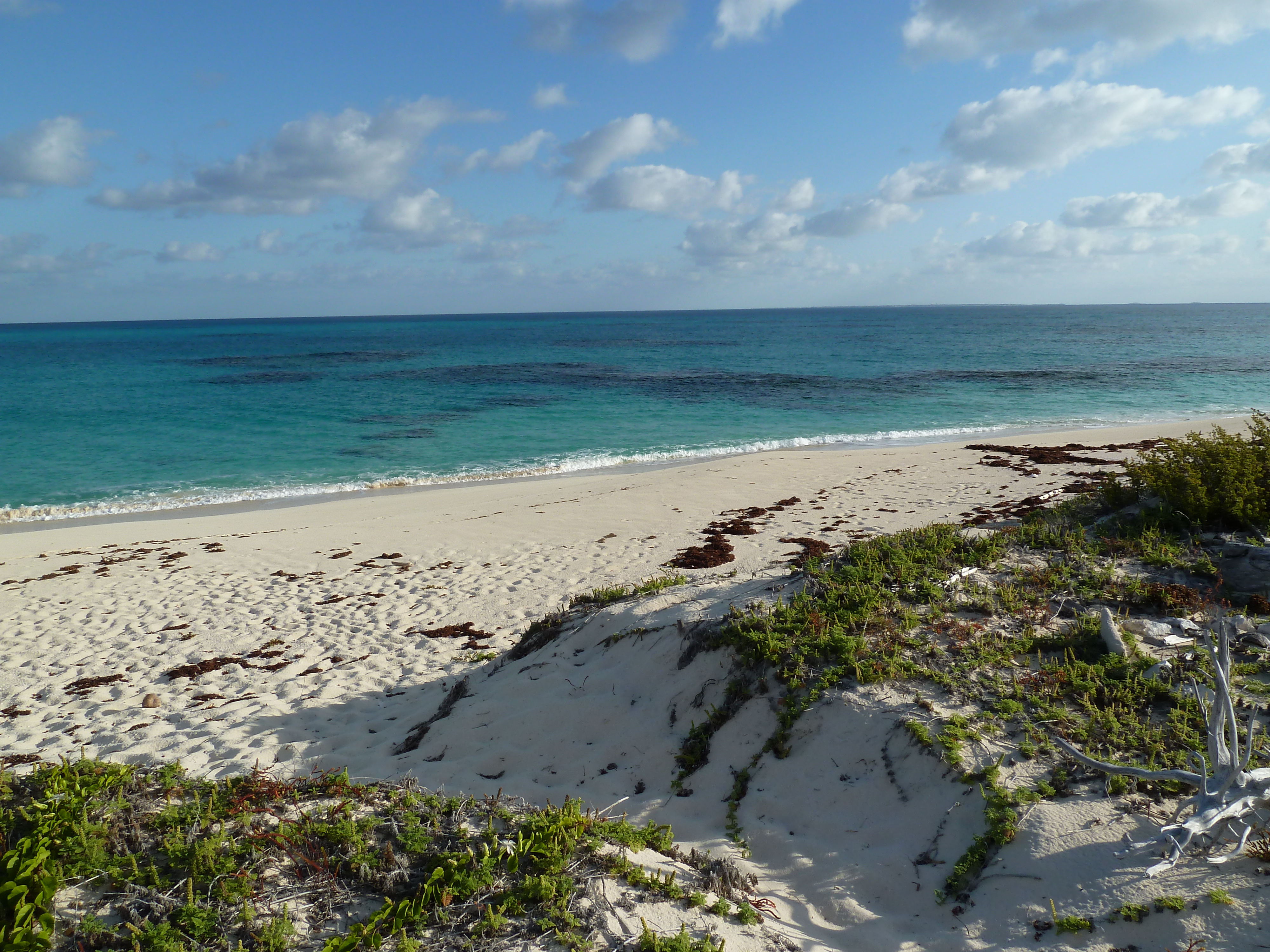 Castaway006.jpg